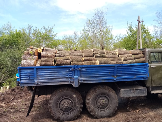 Заготовка и реализация дров